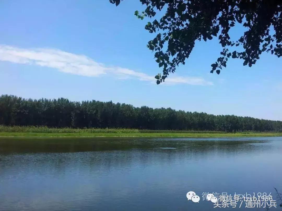 2020未来三年西集镇规划,西片区最新拆迁规划