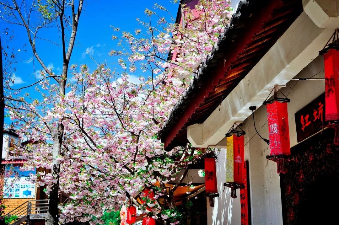 适合一个人去的9个小众旅行地,80个特色旅游活动