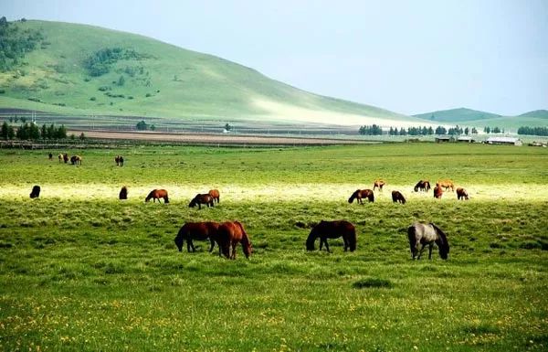 适合一个人去的9个小众旅行地,80个特色旅游活动