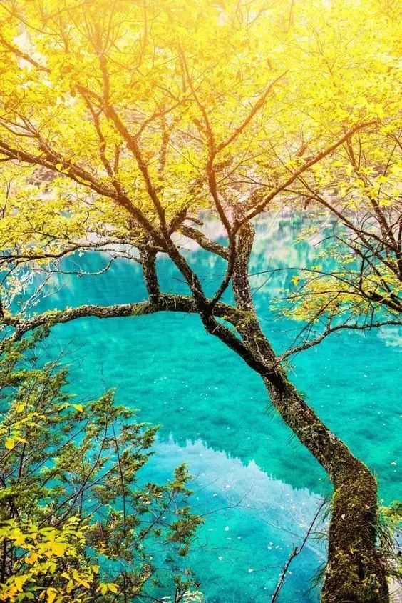 适合一个人去的9个小众旅行地,80个特色旅游活动