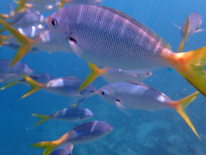 蜜月短途旅行,蜜月旅行遇见朋友闺蜜