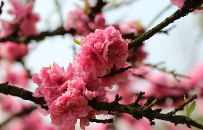 对付小人的最黑办法,如何对付小人背后说人