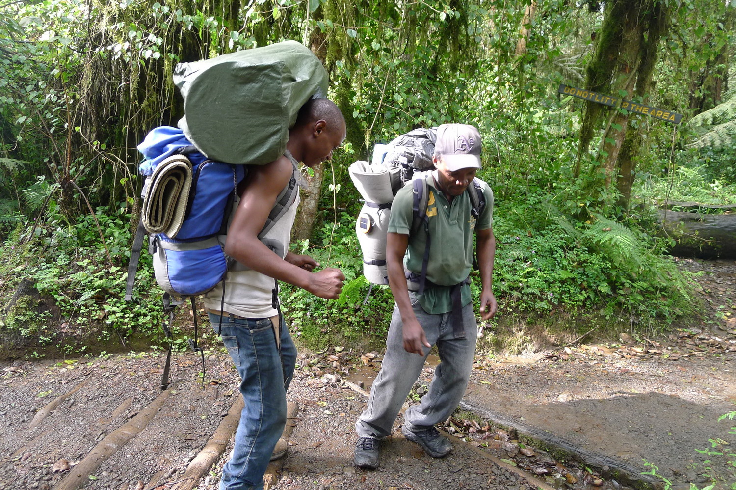 去看乞力马扎罗的雪,乞力马扎罗山的雪深度解读