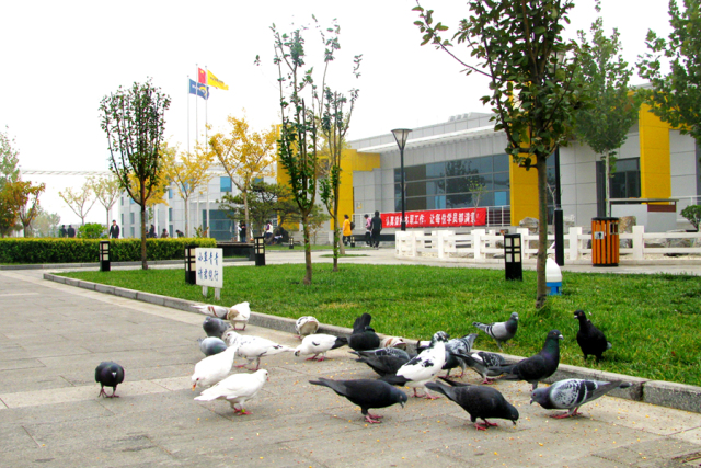 东方时尚以实力铸就品牌,东方时尚