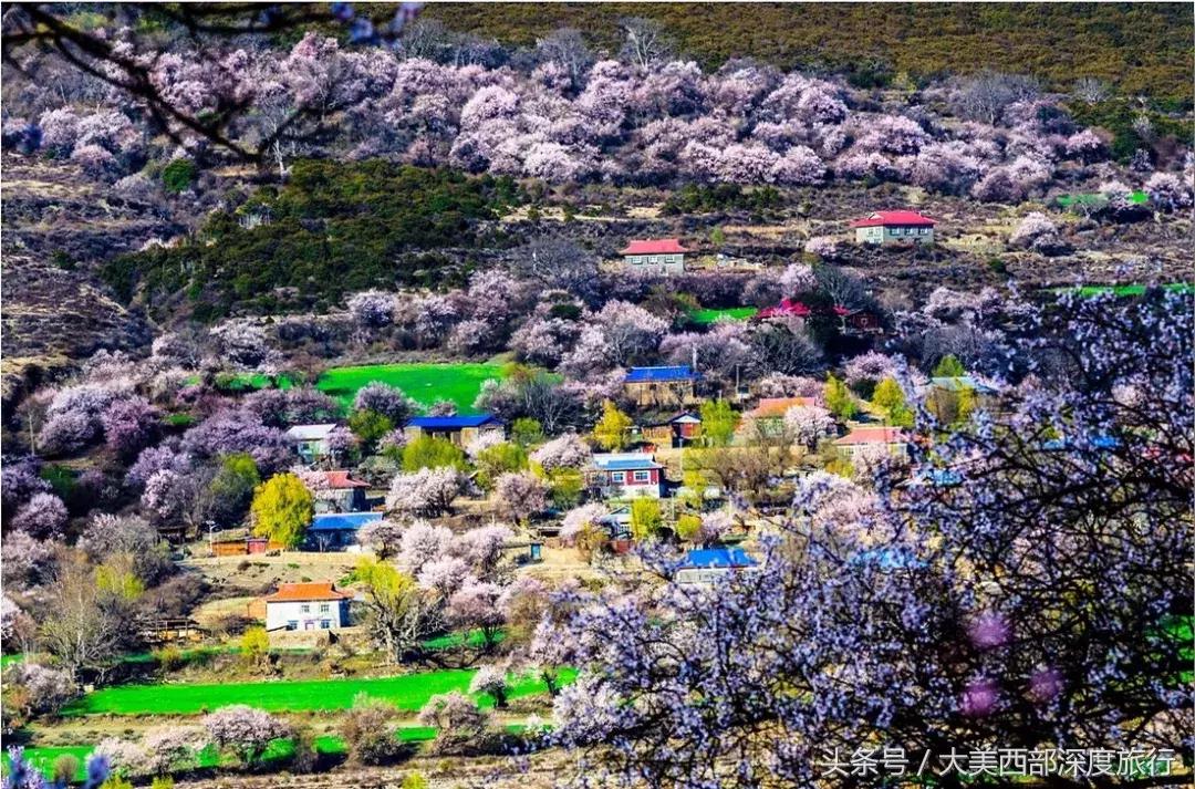 大连英歌石植物园赏花时间表,2022常州公园赏花时间表