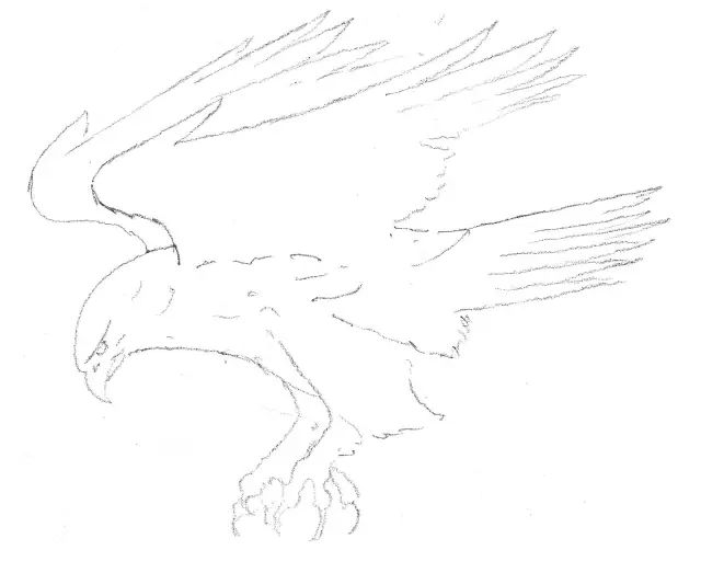 素描入门零基础教程动漫人物,素描入门零基础教程排线握笔