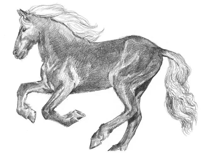 素描入门零基础教程动漫人物,素描入门零基础教程排线握笔