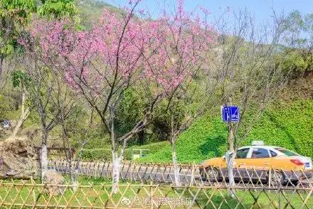 厦门大降温最新消息,厦门升温时间表