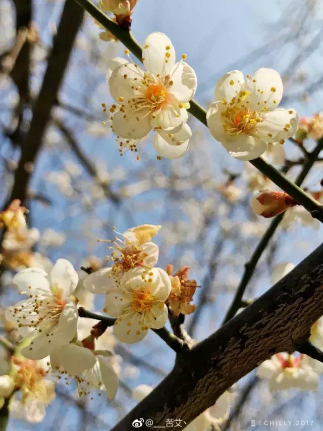 厦门大降温最新消息,厦门升温时间表