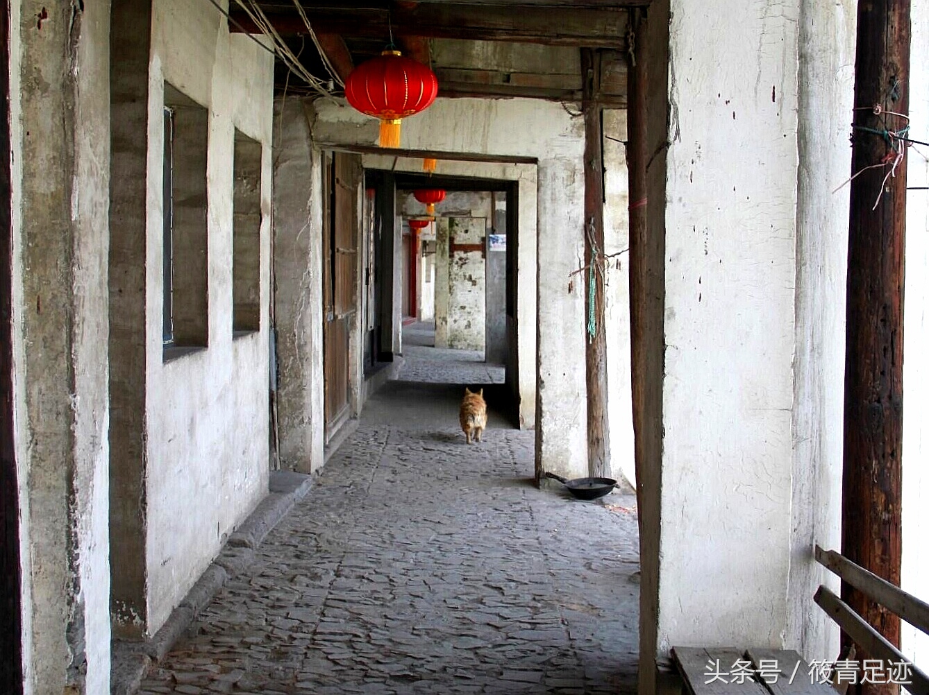 偶遇苏州同里古镇,偶遇古村落