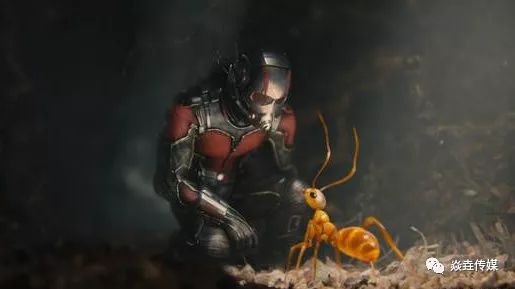 新漫威英雄黑豹观影,漫威观影顺序黑豹