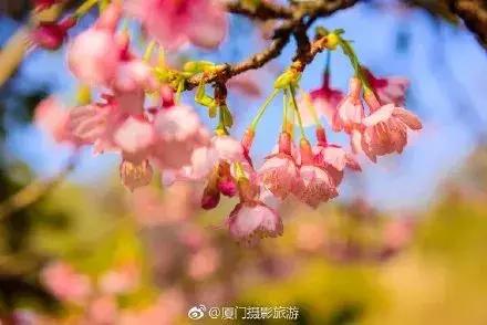 厦门大降温最新消息,厦门升温时间表