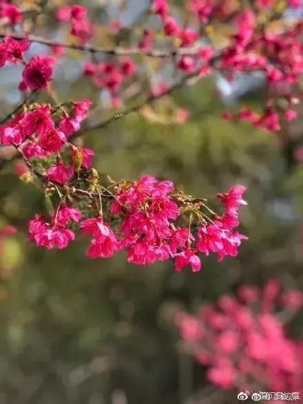 厦门大降温最新消息,厦门升温时间表