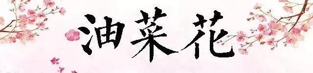 厦门大降温最新消息,厦门升温时间表