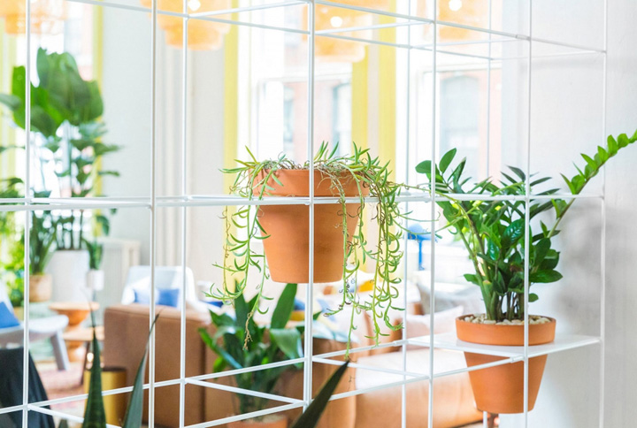 春暖花开时尚新宠潮流彩袜Bombas纽约办公设计欣赏