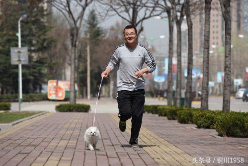 狗年春晚萌狗,新年新气象狗年旺旺旺