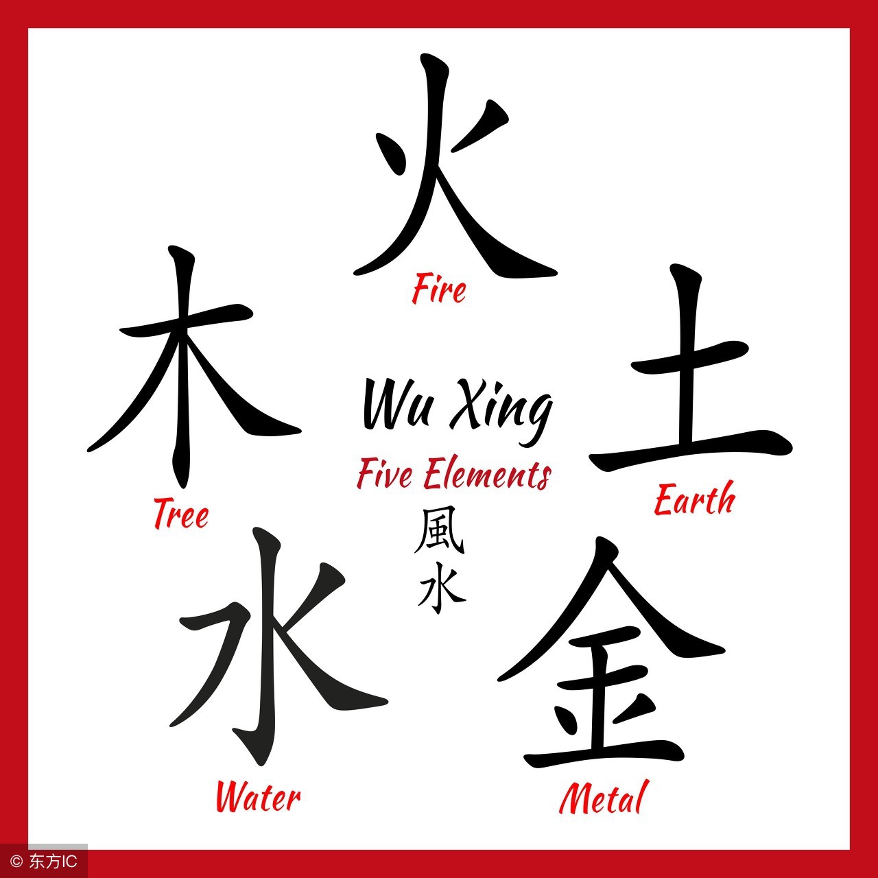 养金鱼的讲究是养单数还是双数,金鱼单数养好还是双数好