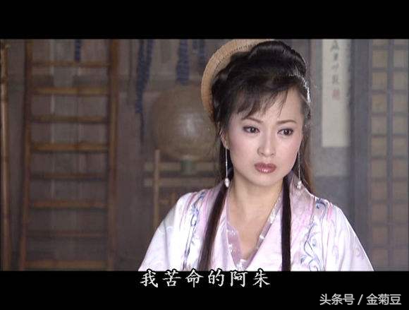 段正淳最狠的六个女人,段正淳的六个女人