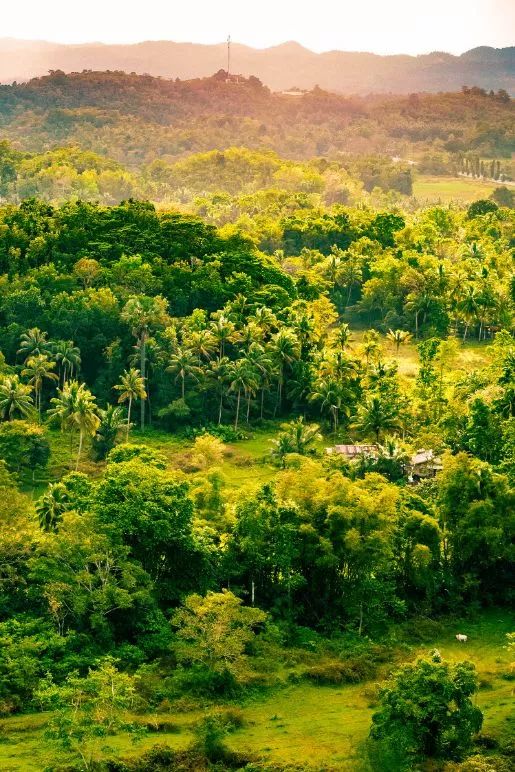 骨灰级干货史上最全海岛签证汇总 (骨灰级海岛自由行签证)