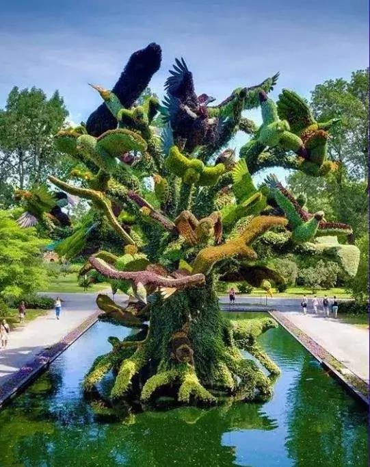 11月4，有群的都看看，太美了，这一辈子见一次值了！