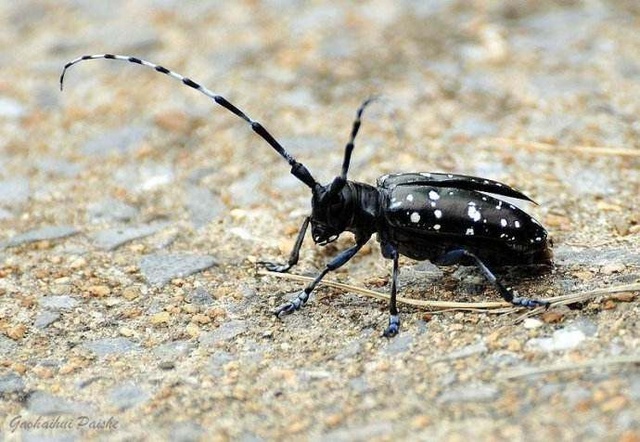 回忆那逝去的青春,80后怀念逝去的青春歌曲