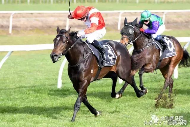 内蒙古莱德马业图片,内蒙古莱德马业最新消息