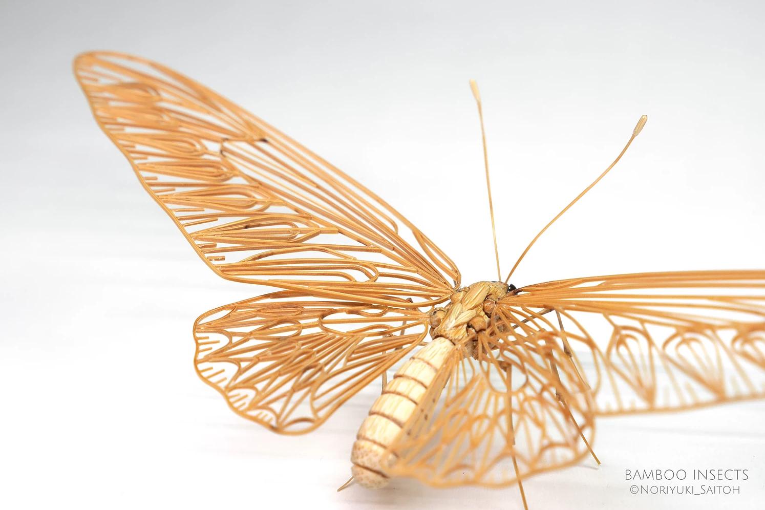 用树木制作一个简易昆虫模型,用枯树枝制作昆虫模型