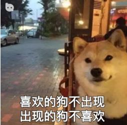 公公强吻儿媳，新娘被按跪地…你还见过哪些辣眼婚俗