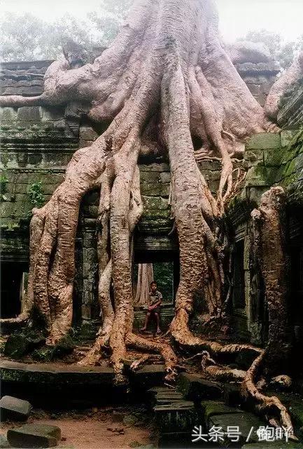 这10大东南亚“免签”仙境,月薪5K轻松走起,光看图已醉!