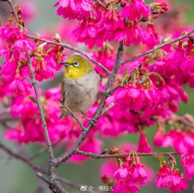 厦门大降温最新消息,厦门升温时间表