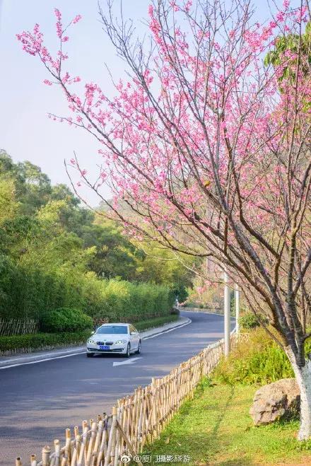 厦门大降温最新消息,厦门升温时间表
