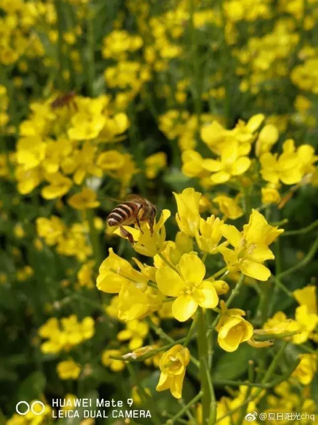 厦门大降温最新消息,厦门升温时间表