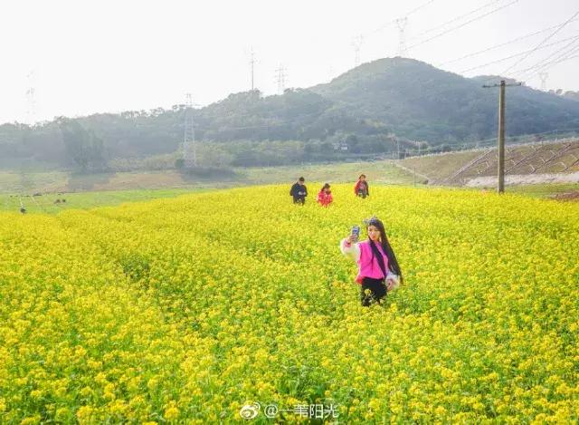 厦门大降温最新消息,厦门升温时间表