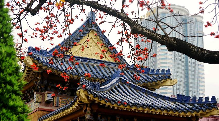 木棉花季，观众画风各异，老广州的画风肯定是这样，单纯又美味