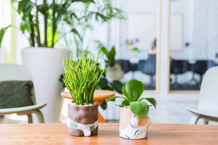 春暖花开时尚新宠潮流彩袜Bombas纽约办公设计欣赏