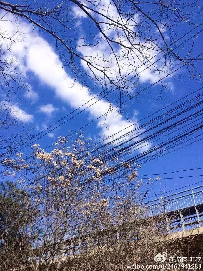 2018，在等一个人，陪我去天津...