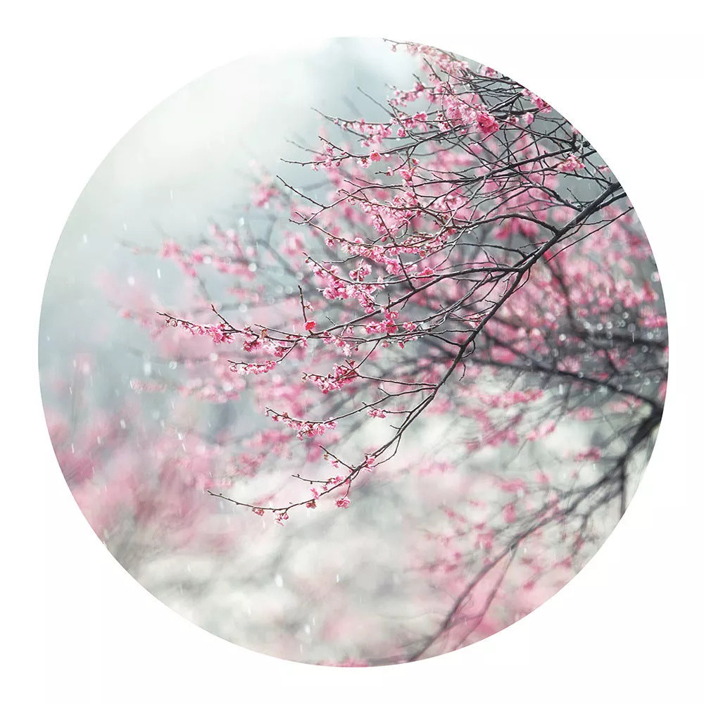 ps怎么在图层上画框,ps做出唯美效果