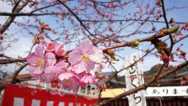 鏃ユ湰浜兘椋庢櫙宸濈搴锋垚,鏃ユ湰宸濈搴锋垚鍒濈鍥涙櫙