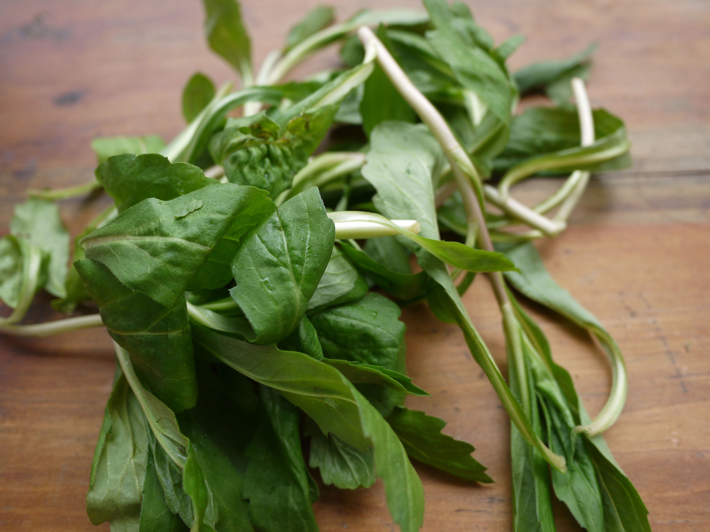 营养又美味的野菜城市几十元一斤,这种野菜比肉还贵味道特别好