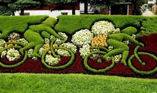 11月4，有群的都看看，太美了，这一辈子见一次值了！