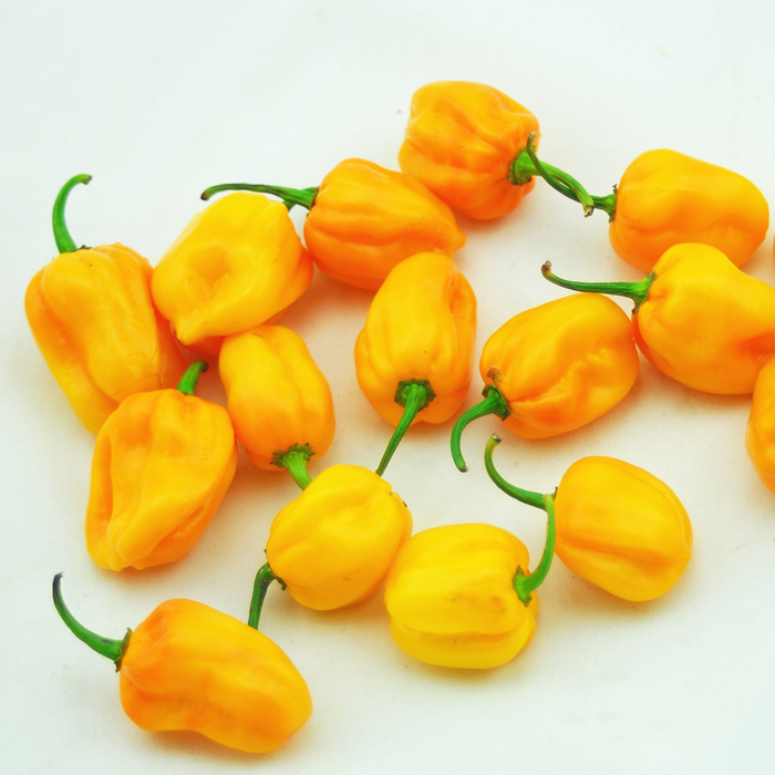 被科学家逐出“五味”的辣味，凭什么还能凌驾于其他口味之上？