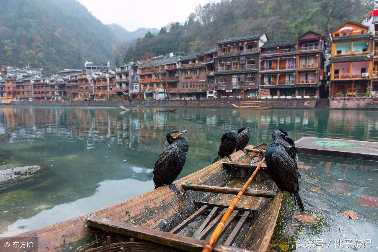 凤凰古城到底值不值得去,凤凰古城收费事件