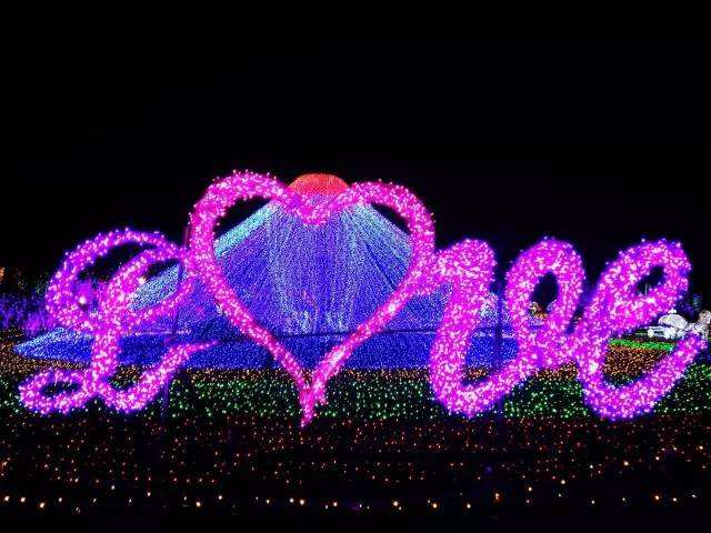 贝多芬的悲伤词曲,贝多芬的悲伤女声歌词