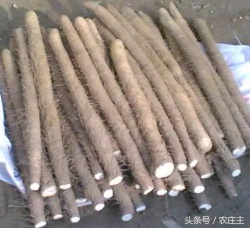 今年中药材普遍行情分析,未来药材走势行情