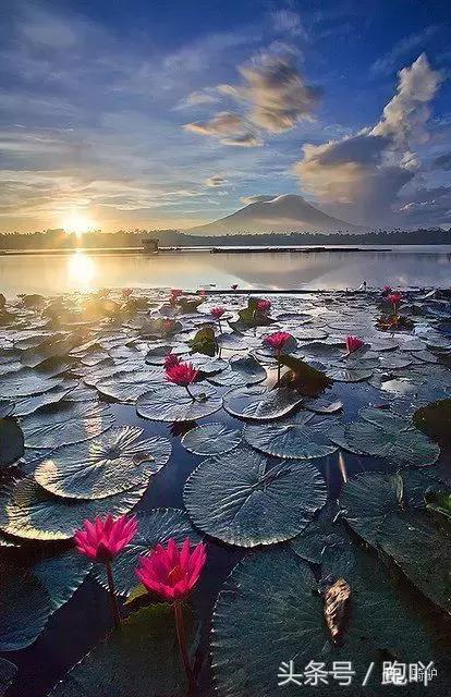 这10大东南亚“免签”仙境,月薪5K轻松走起,光看图已醉!