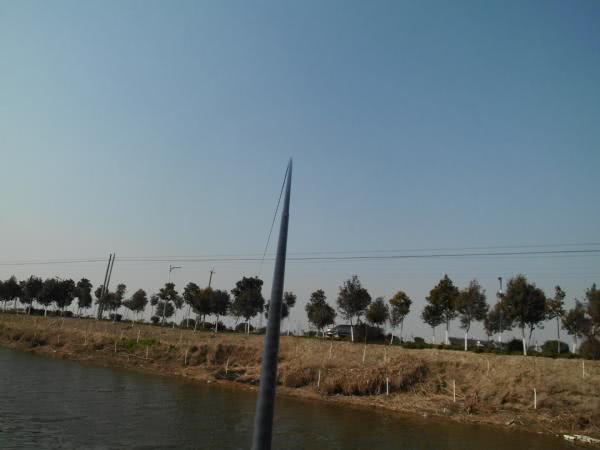 鳊鱼最爱吃什么东西,鳊鱼生活在长江哪里