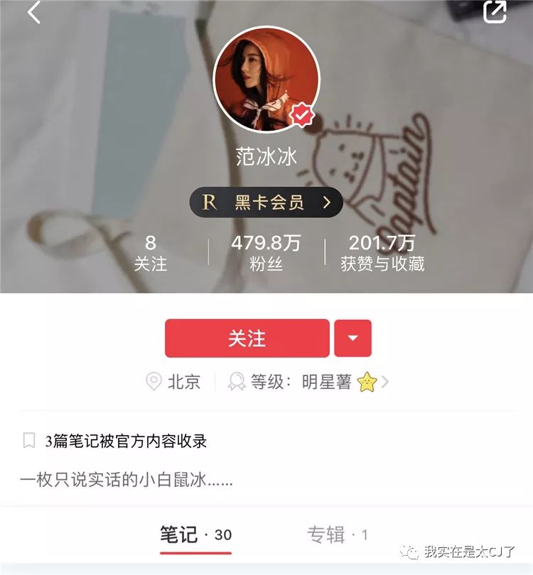 范冰冰转型美妆博主有感,范冰冰成为美妆博主
