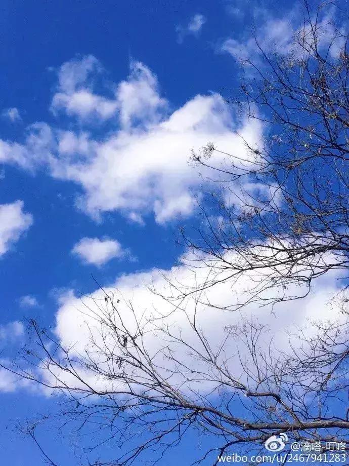 2018，在等一个人，陪我去天津...