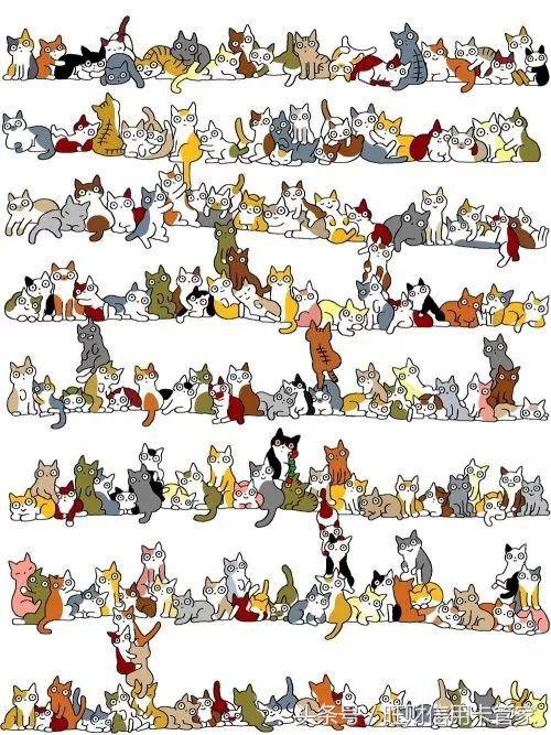 记住这4点就够了,记住这四点让你一辈子不会被坑