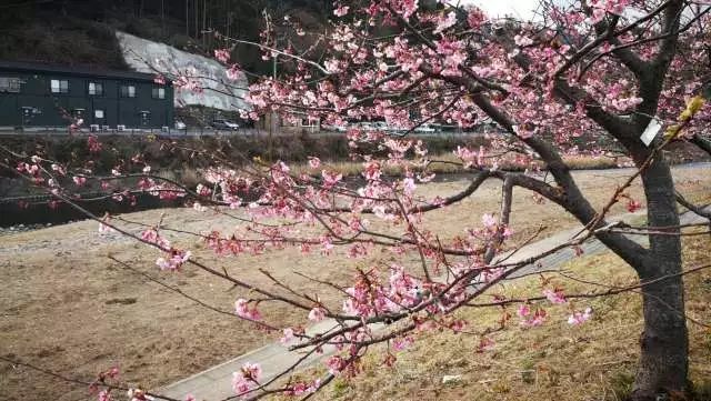 鏃ユ湰浜兘椋庢櫙宸濈搴锋垚,鏃ユ湰宸濈搴锋垚鍒濈鍥涙櫙